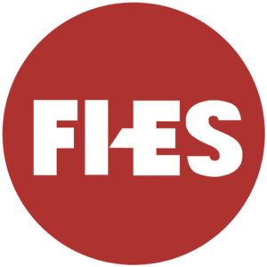 FI-ES Systems Pvt Ltd logo